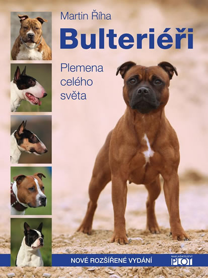 Bulteri��i