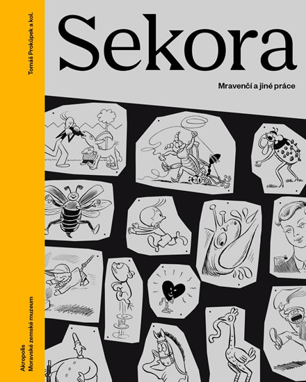 Sekora nv.