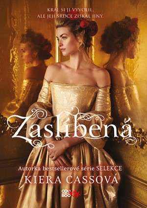 Zasl�ben�