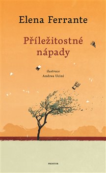 P��le�itostn� n�pady PROSTOR