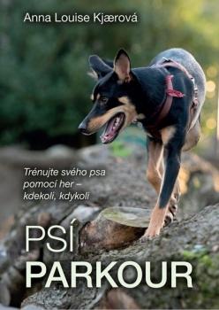 Ps� parkour