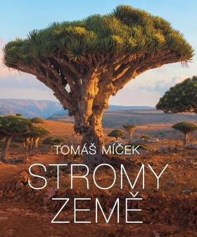 Stromy Zem�