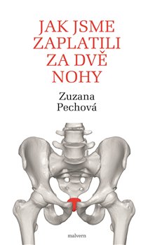 Jak jsme zaplatili za dv� nohy