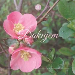 �akujem