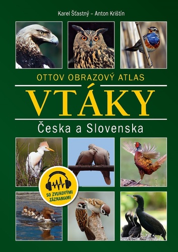 Vt�ky �eska a Slovenska