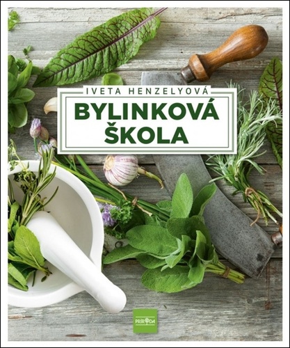Bylinkov� �kola