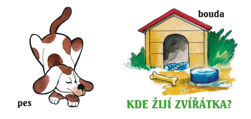 Kde �ij� zv���tka? AKCENT