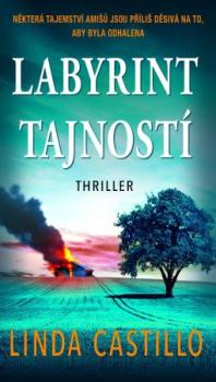 Labyrint tajnost� MOBA-E