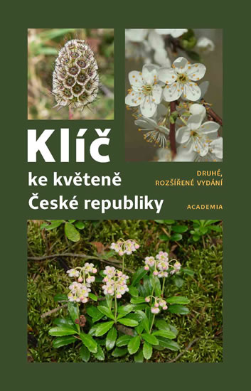 Kl�� ke kv�ten� �esk� republiky 2v.