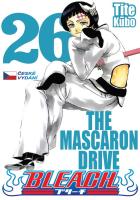 Bleach 26