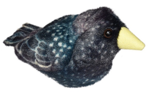 Ply� WR pt�ci �pa�ek