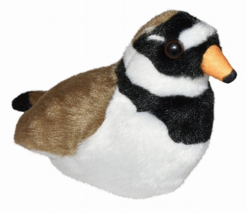 Ply�ov� hraj�c� pt��ek - Kul�k