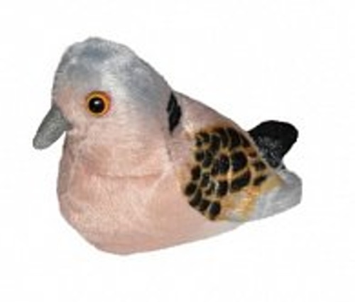 Ply� WR pt��ek - Hrdli�ka