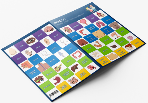 Pexeso P��rodov�da Smysly a org�ny