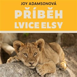 CD P��b�h lvice Elsy TYMPANUM