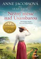 N�n� m�s�c nad Usambarou