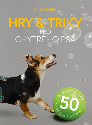 Hry & triky pro chytr�ho psa PANGEA