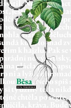 B�sa /bro�.