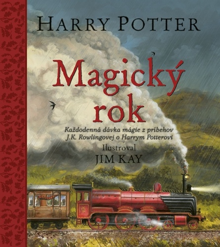 Harry Potter: Magick� rok