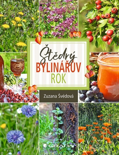 �t�dr� bylin���v rok GRADA