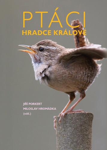 Pt�ci Hradce Kr�lov�