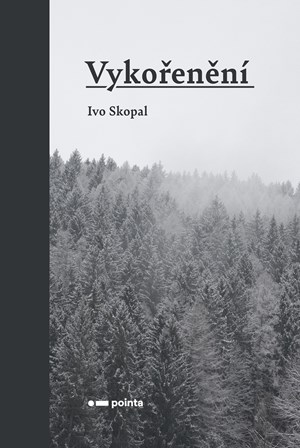 Vyko�en�n�