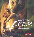 Jak� je to b�t lvem