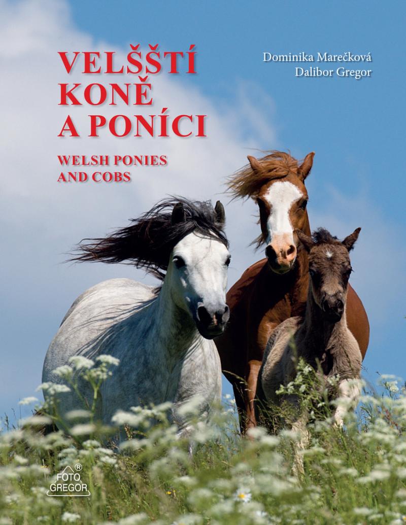 Vel��t� kon� a pon�ci