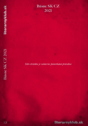 B�sne SK CZ 2021