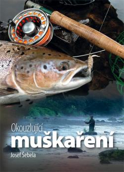 Okouzluj�c� mu�ka�en�