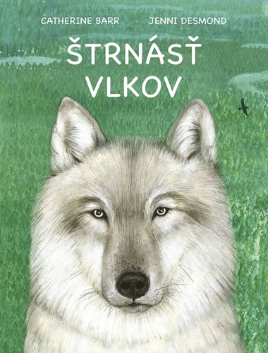 trns vlkov