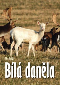 B�l� dan�la