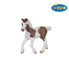 H��b� Cob Bay PAPO