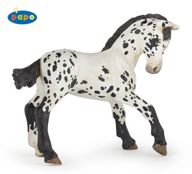 H��b� Appaloosa �ern� PAPO