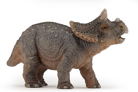 Triceratops ml�d� PAPO