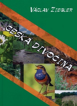 �esk� divo�ina