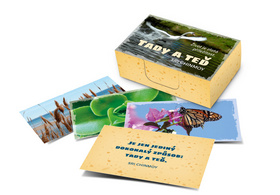 Tady a te� MADAL BAL