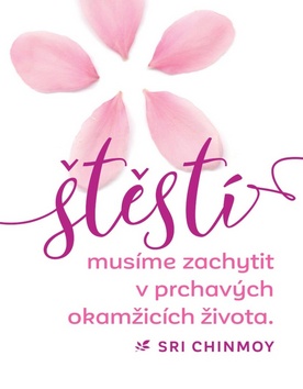Magnet na lednici �t�st� mus�me zachytit