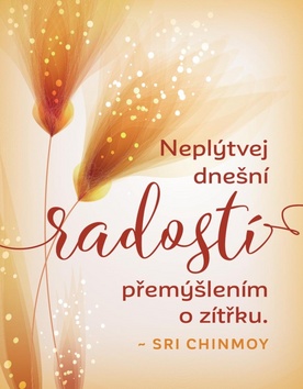 Magnet na lednici Nepl�tvej dne�n� rad.