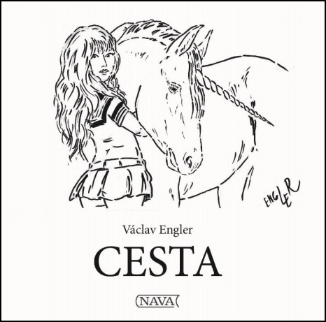 Cesta NAVA
