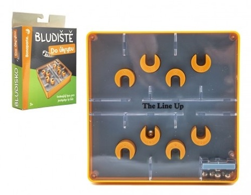 Bludi�t�/hlavolam Do �krytu plast 12x12