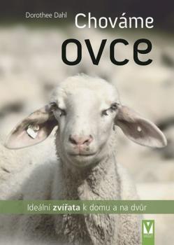 Chov�me ovce - Ide�ln� zv��ata k domu a na dv�r