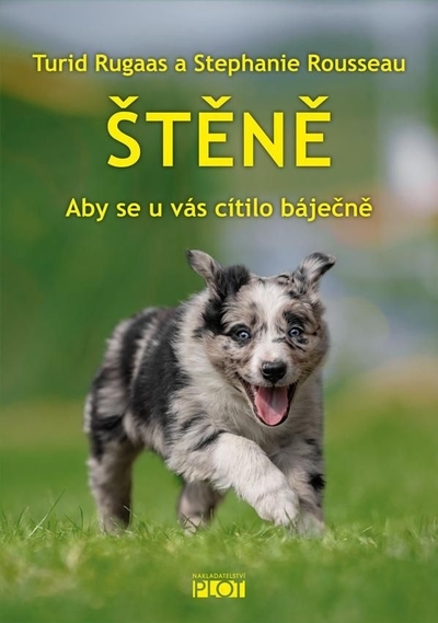 �t�n�