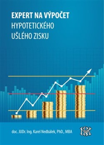 Expert na u�l� zisk, hypotetick� zisk...