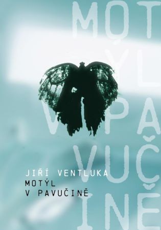 Mot�l v pavu�in�