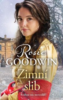 Zimn� slib