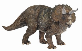 Triceratops PAPO