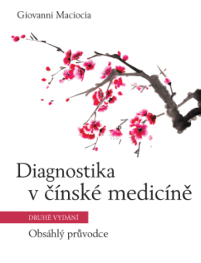 Diagnostika v ��nsk� medic�n�