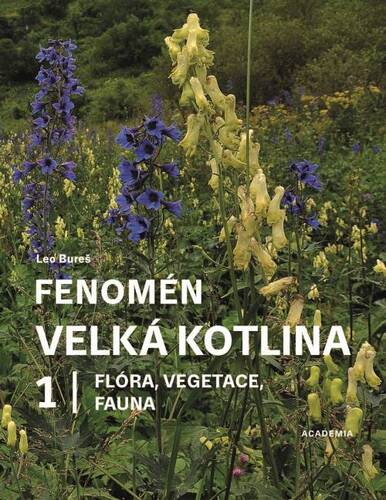 Fenom�n Velk� kotlina 1