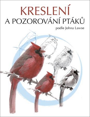 Kreslen� a pozorov�n� pt�k�